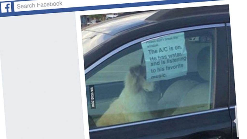 Kuvankaappaus 9GAGin Facebook-sivulta.