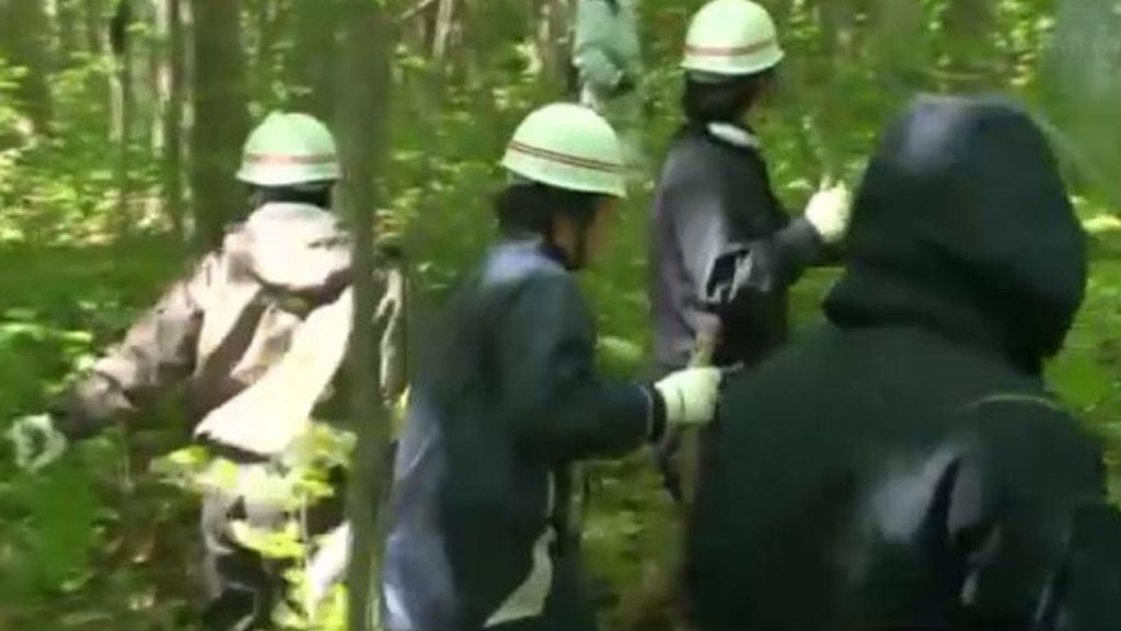 Pojan etsintäalueelta on tehty huolestuttava, tuore havainto karhuun liittyen. Kuvakaappaus videomateriaalista.