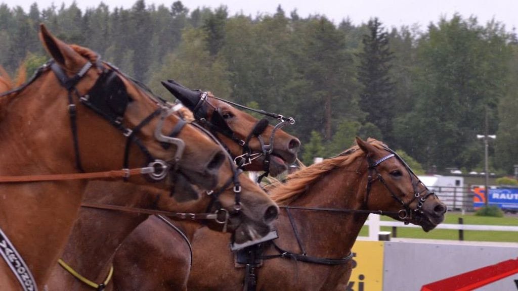 Kuvituskuva: Marinka Massa.