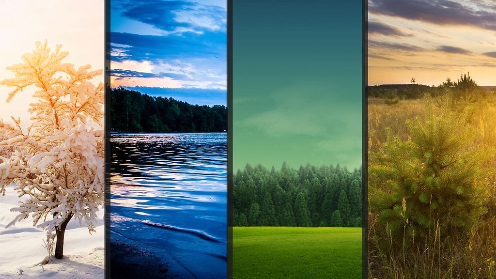 Mitä sinun syntymäaikasi paljastaa?