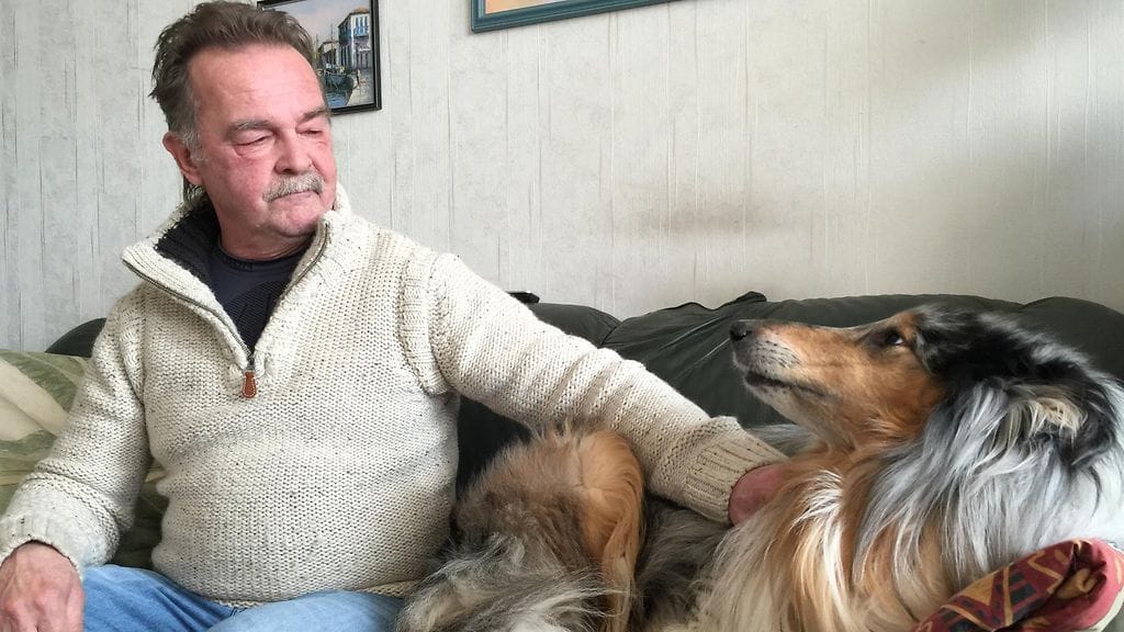 Perheen collie-rotuinen koira lohduttaa ja vie lenkille, kun voimat ovat vähissä.