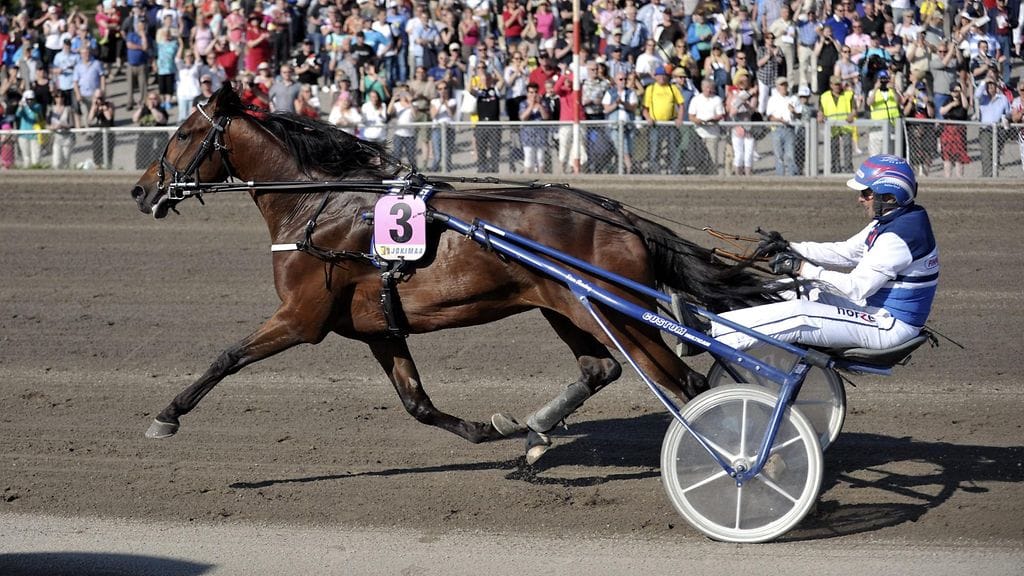 Express Duo ja Pekka Korpi hamuavat jälleen jättipottia Jokimaan heinäkuisista huippuraveista.