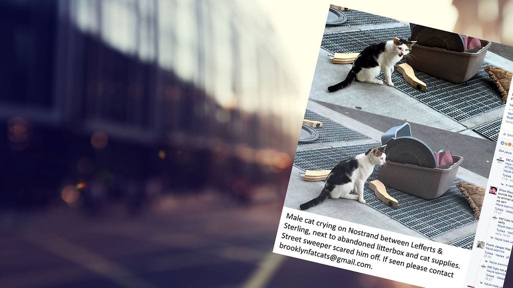 Nostrandille kävi lopulta hyvin.