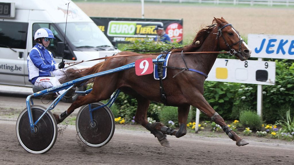 Jukka Torvinen pääsi Belgiassa juhlimaan kerran voittoa, kun Vetiver Danover ravasi ykköseksi.