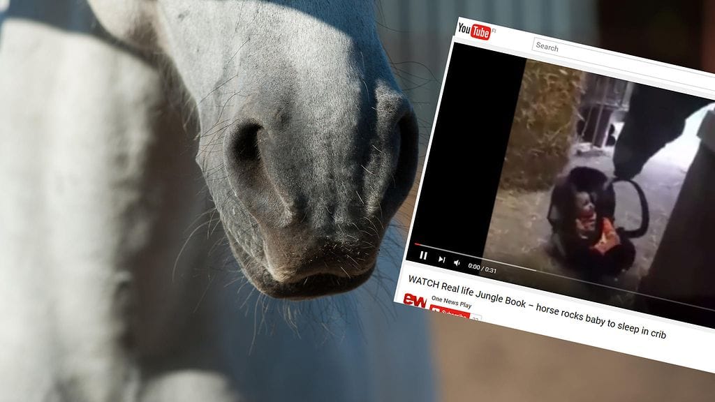 Kuvituskuva ja kuvakaappaus YouTubesta