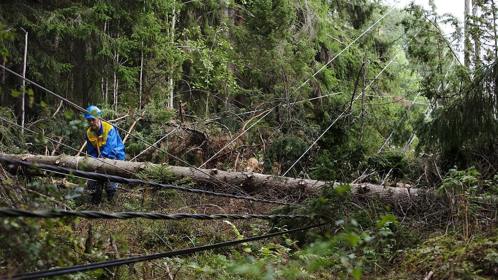 Jos esimerkiksi sähkölinjan päälleon kaatunut puu, tulee siitä ilmoittaa sähkölaitokselle eikä hätäkeskukselle. Kuvituskuva.