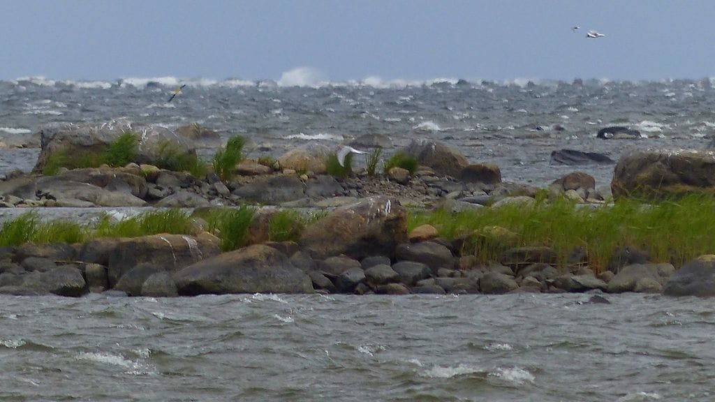 Myrskyvaroitus on annettu tänään merialueilla Perämerelle, mutta kovaan merituuleen on syytä varautua myös useilla muilla rannikkovesillä. Kuva: Matti Hietala.