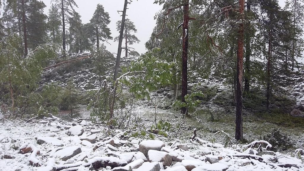 Sakari Sumela kuvasi lumimaiseman Suomen suvessa.