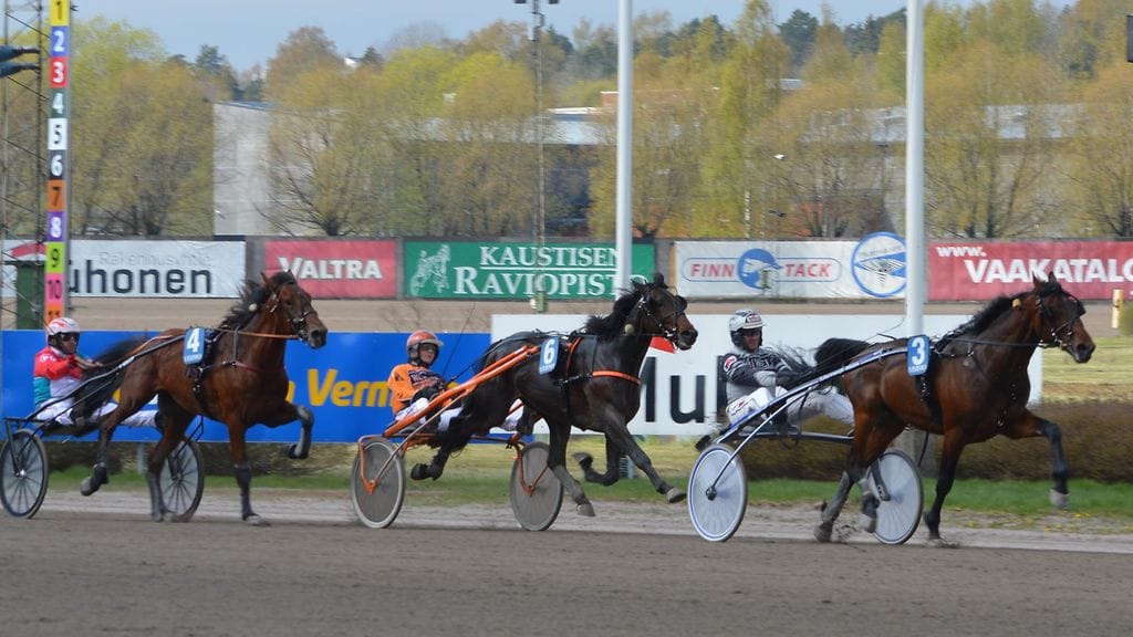 Seppeleajon maalisuoralla toukokuussa vuonna 2014 kamppailivat Ranch Nero keskellä, Jontte Boy edellä ja Serpillo Spin takana.