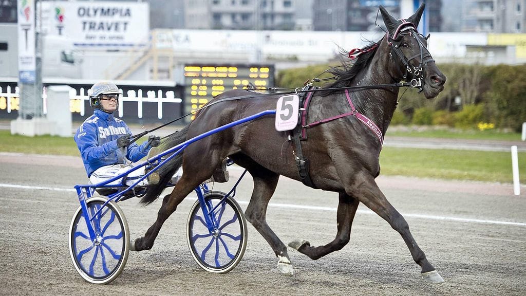 Your Highness ja Björn Goop olivat voitokkaita (arkistokuva).