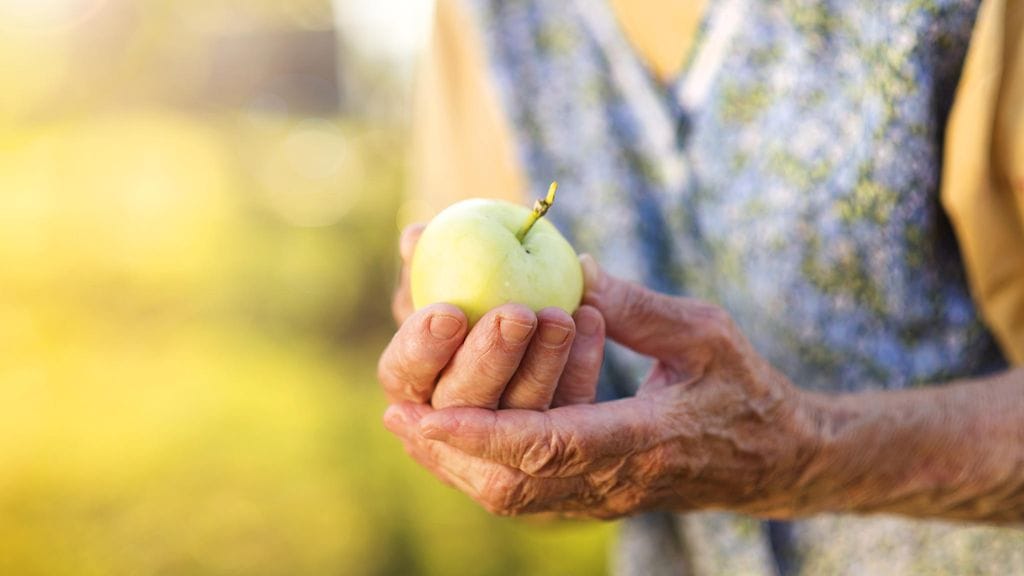Kasvisten syöminen kannattaa.