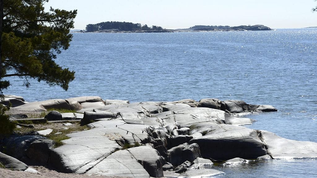 Peltojen kipsikäsittely vähentää fosforin päätymistä pelloilta meriin.