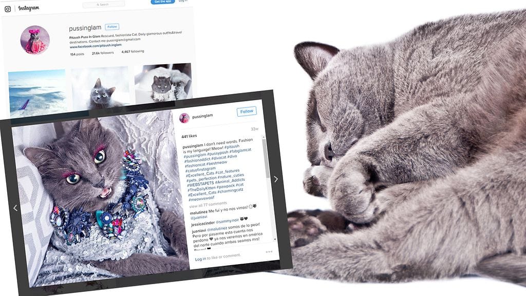 Kuvituskuva, kuvakaappaus Instagramista