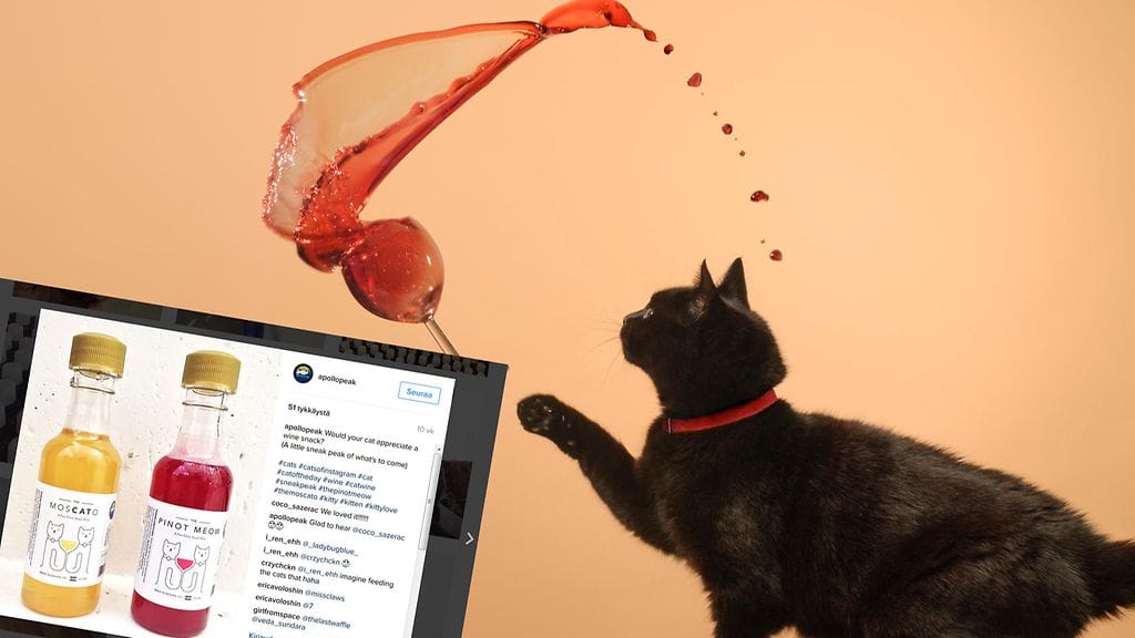 Kuvituskuva ja kuvakaappaus Instagramista