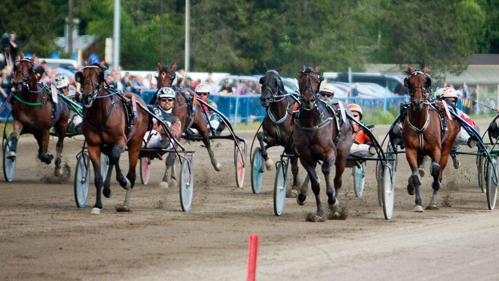Kuvituskuvaa Kouvolan raviradalta kesältä 2013.