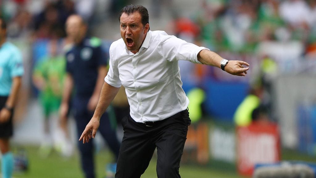 Marc Wilmots jahtaa menestystä Ranskan EM-kisoissa.