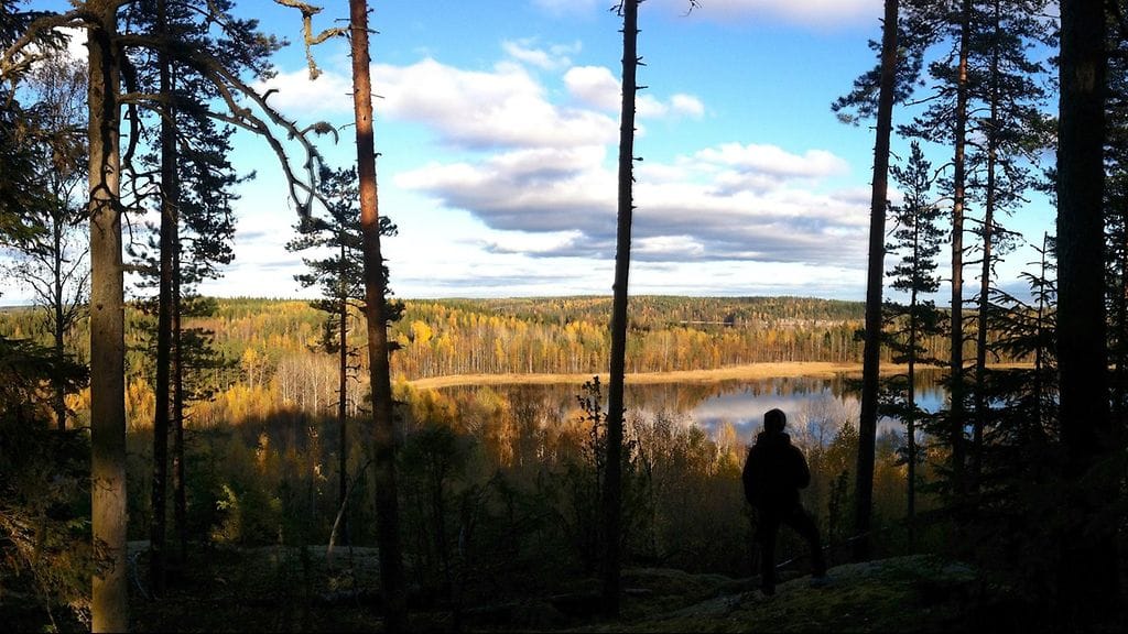 2015-10-19 at 20-02-22