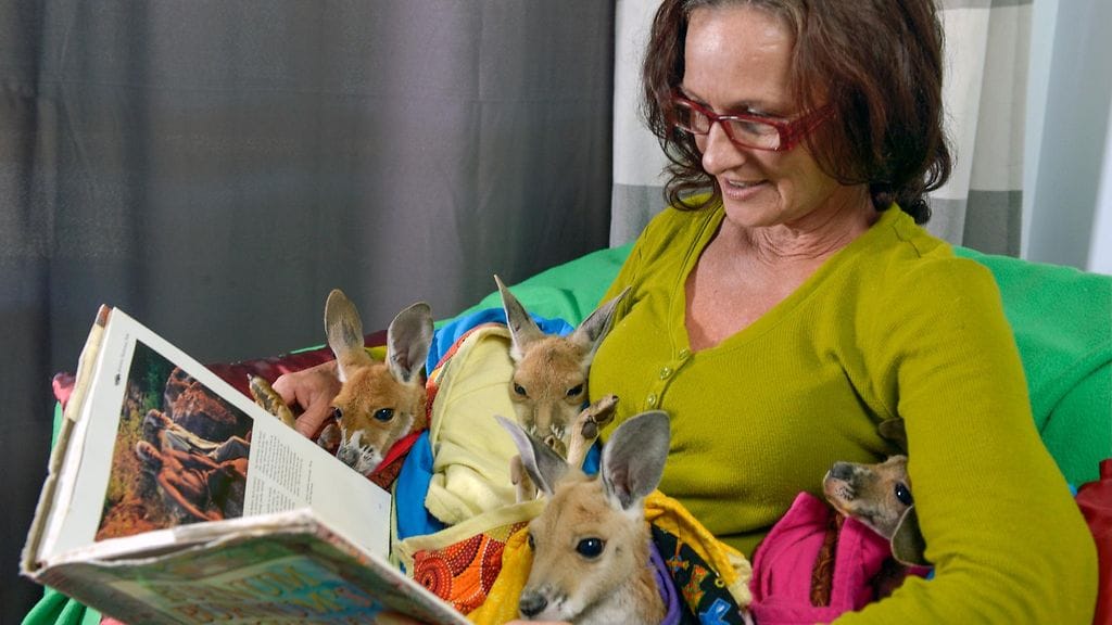 Tanya Jones, 47, luopui urastaan kenguruperheen vuoksi.