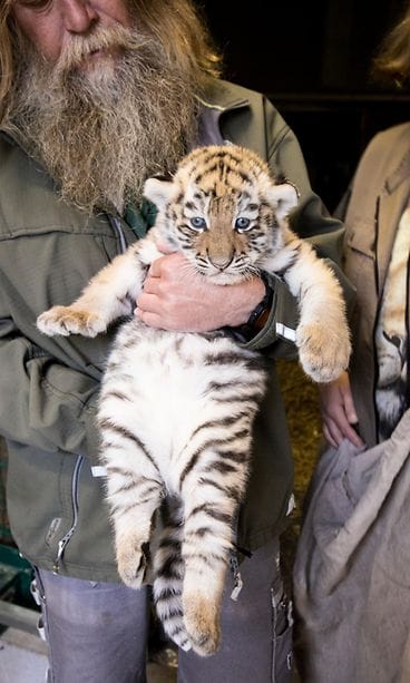 27514847080_8cefc19425_o