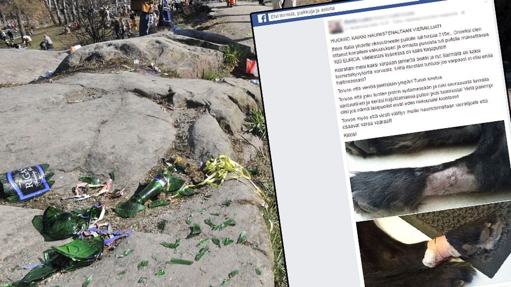 Särmä-koira loukkasi vakavasti tassunsa rikkoutuneen lasipullon takia.