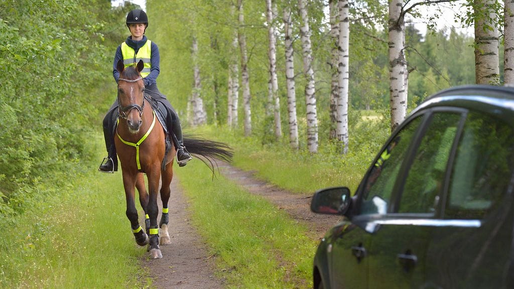 Hiljennä vauhtiasi kohdatessasi hevosen ja pysähdy, jos sinua pyydetään pysähtymään.
