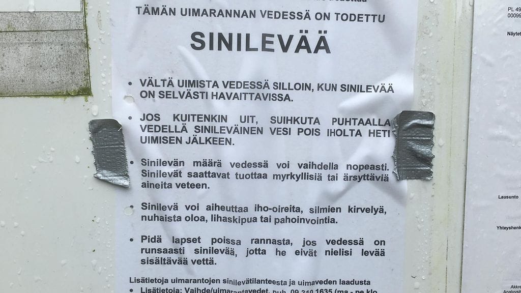 Levätilanne, varoitus, sinilevä, uimaranta