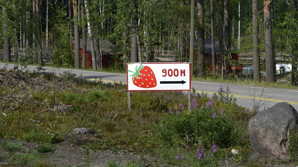 Mansikkapaikan tienvarsimainos. Kuvituskuva.