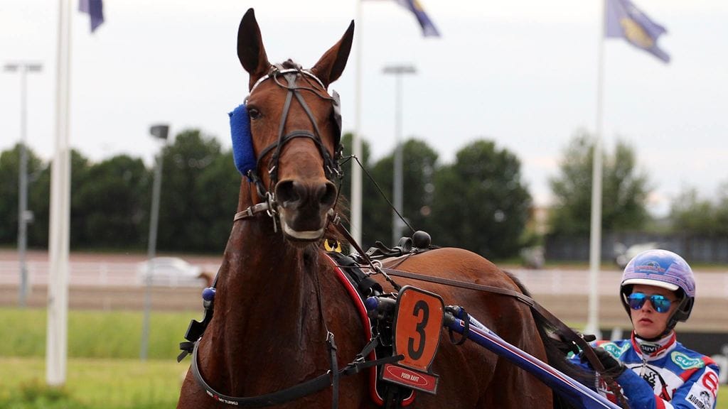 Päätöskohteen voittanut Kiss My Turku ei vaikuttanut väsyneeltä voittonsa jälkeenkään.