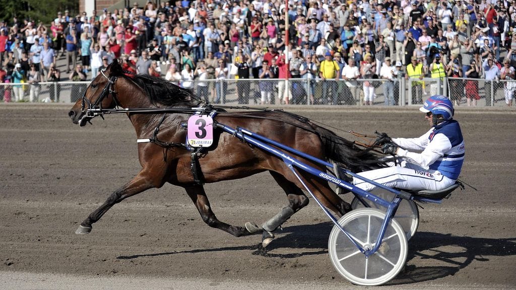 Pekka Korven ohjastama Express Duo voitti Suur-Hollola-ajon vuosi sitten (arkistokuva).