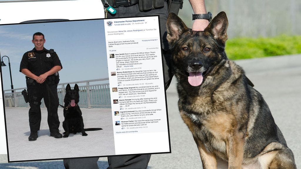 Kuusi vuotta poliisin työparina uskollisest palvellut koira jouduttiin lopettamaan.