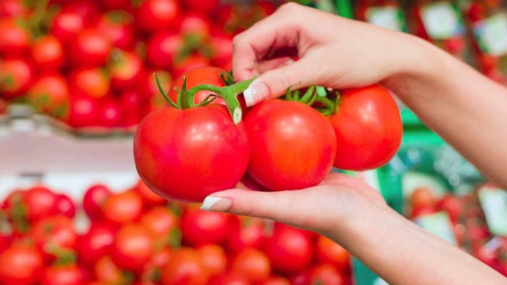 tomaatit