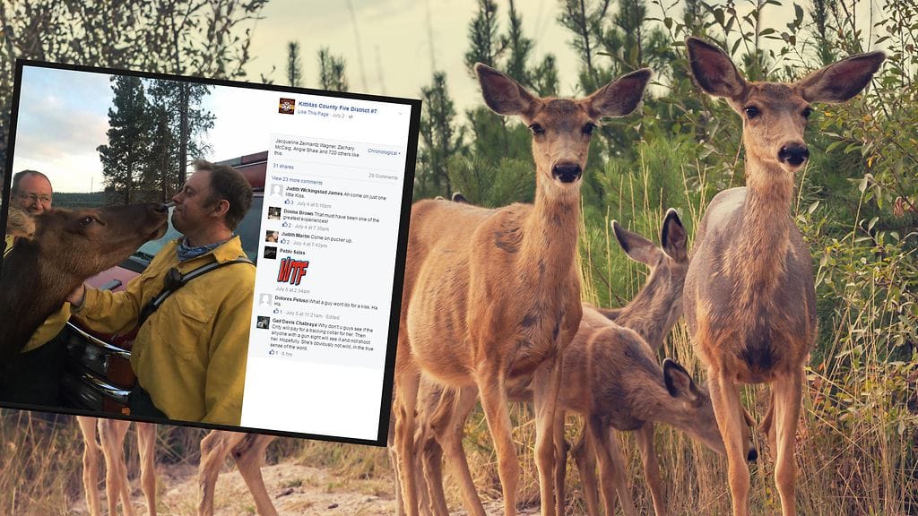 Kuvituskuva, kuvakaappaus Facebookista