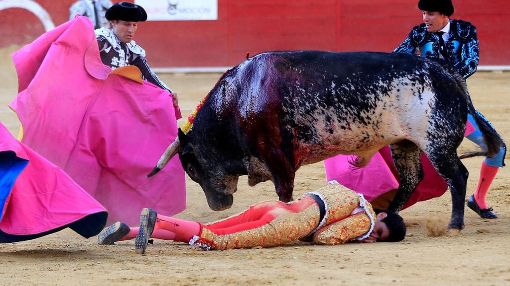 Espanjalainen härkätaistelija Victor Barrio (maassa) menehtyi härkätaistelussa saamiinsa vammoihin 9. heinäkuuta 2016.