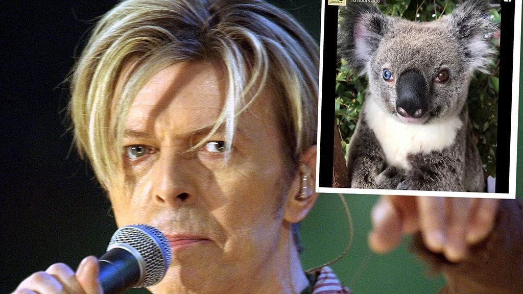 Kuvakaappaus Facebookista.