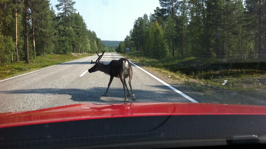 Porokolareita pyritään vähentämään ammattikuljettajien tuottaman datan avulla.