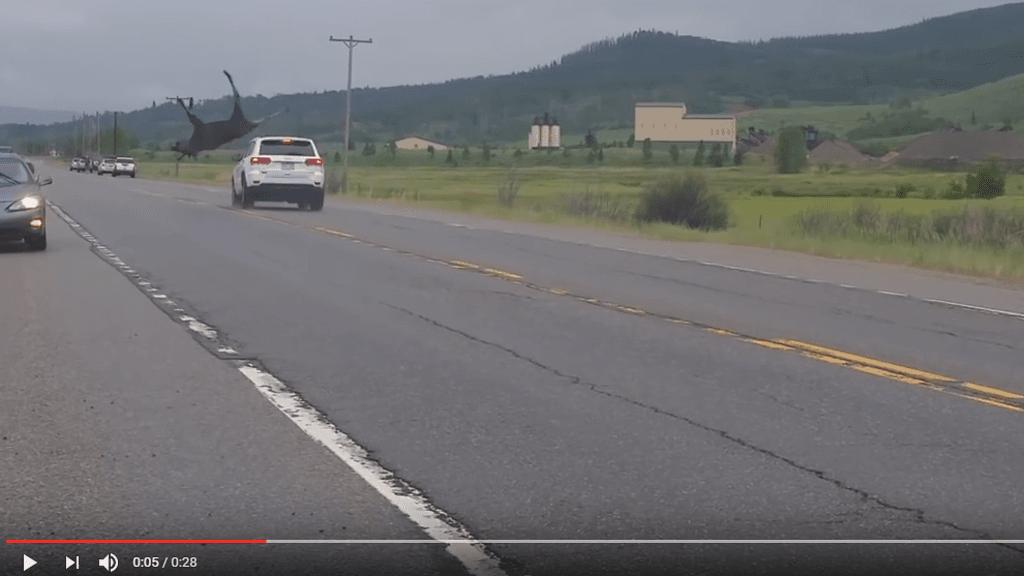 Kuva Youtube, Kayla Whitehead.