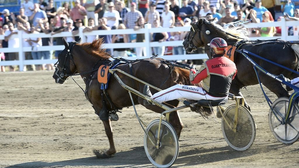 Tuomas Pakkasen ohjastama Camri on yksi Tähtsprinterin suosikeista.