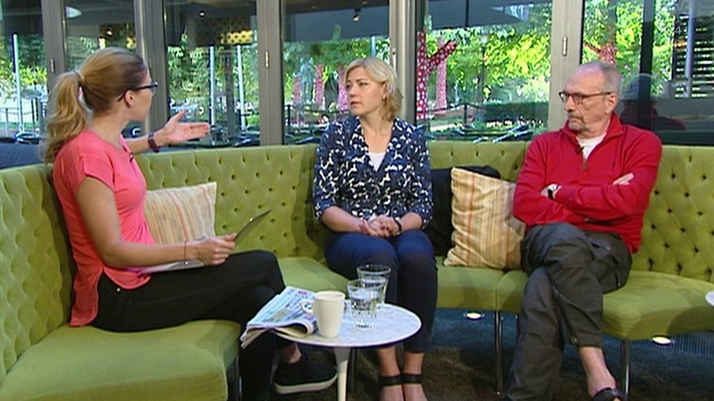 henna virkkunen nils torvalds