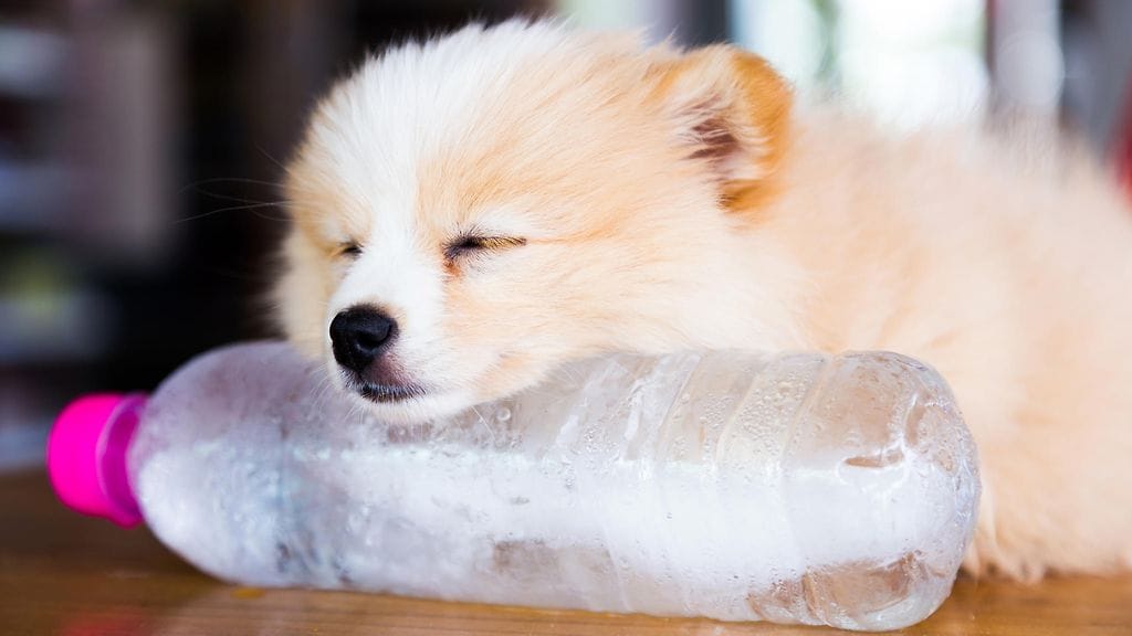 Kuumuus voi tuottaa ongelmia nukahtamisen suhteen, mutta onneksi apu on lähellä.