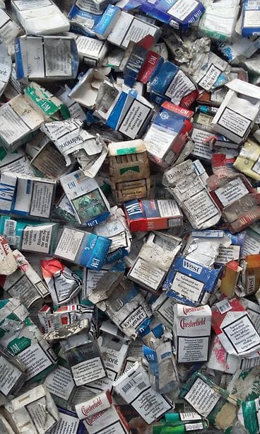 Roskakuva 4 Erkkilät