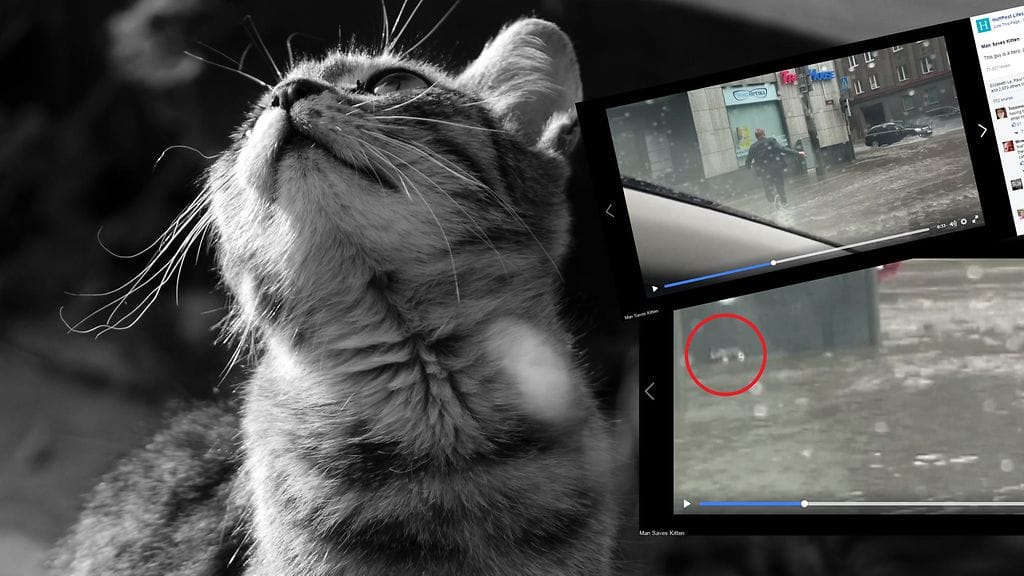 Kuvituskuva, kuvakaappaukset Facebookista