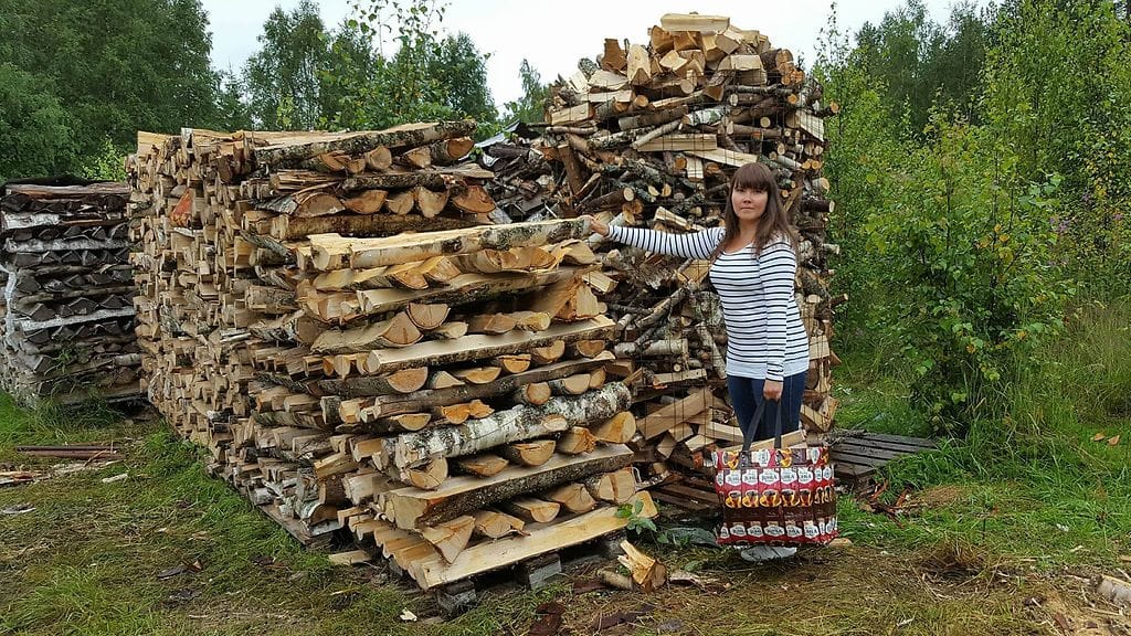 13838148_10206210084922467_365943247_o