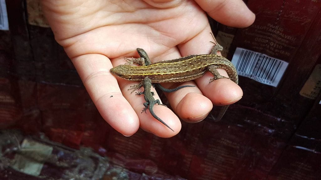 13717963_10206210091522632_499773141_o