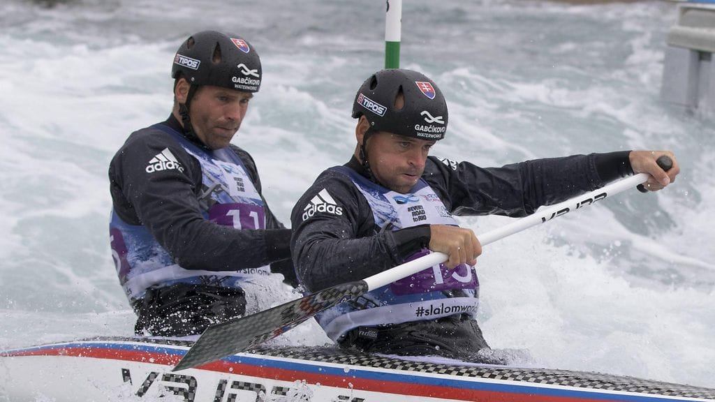 Pavol and Peter Hochschorner, 2015