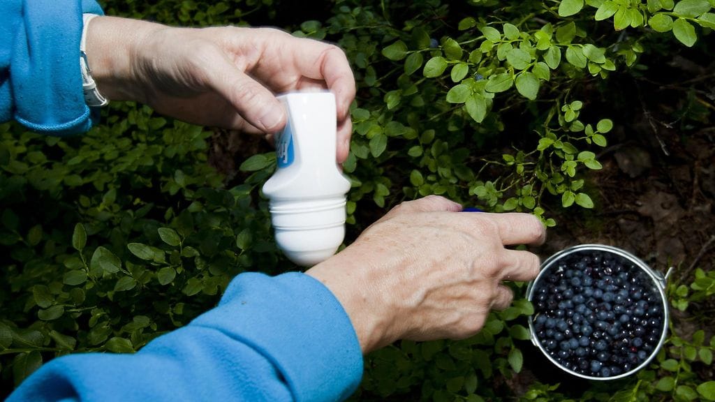 Hyönteiskarkoite on tehokas apu mustikkametsällä.