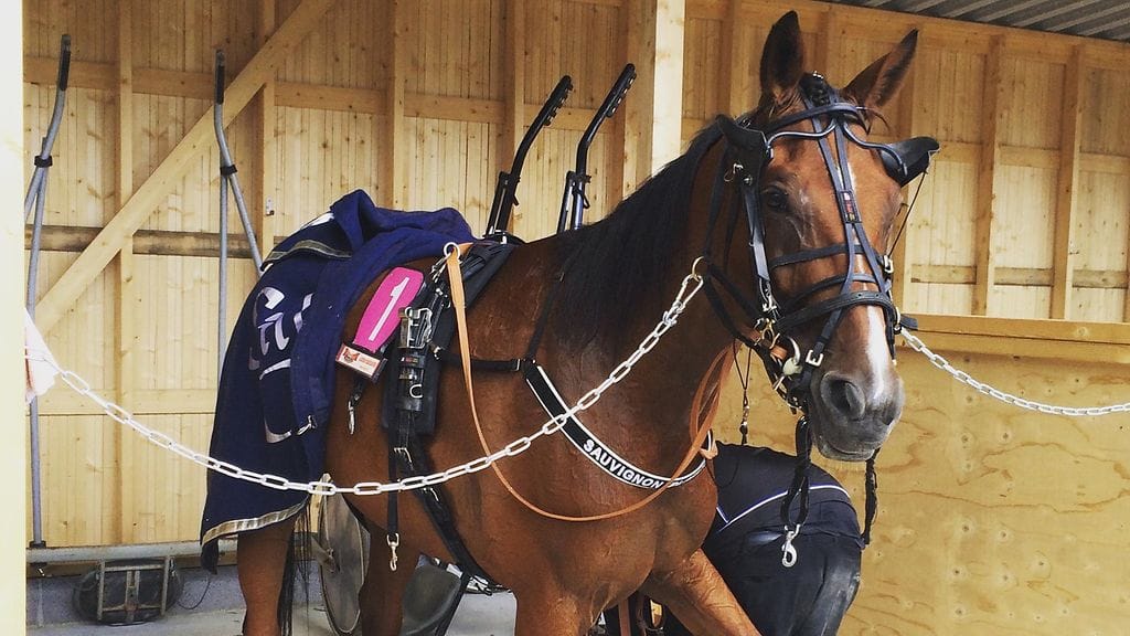 Nykyaikataululla ravit eivät kestää pienintäkään odottamatonta viivästystä.