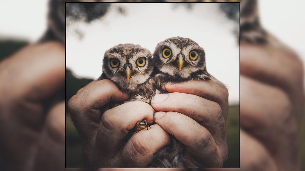 Kuva Konsta Punkan 'kpunkka' -Instagram-tililtä