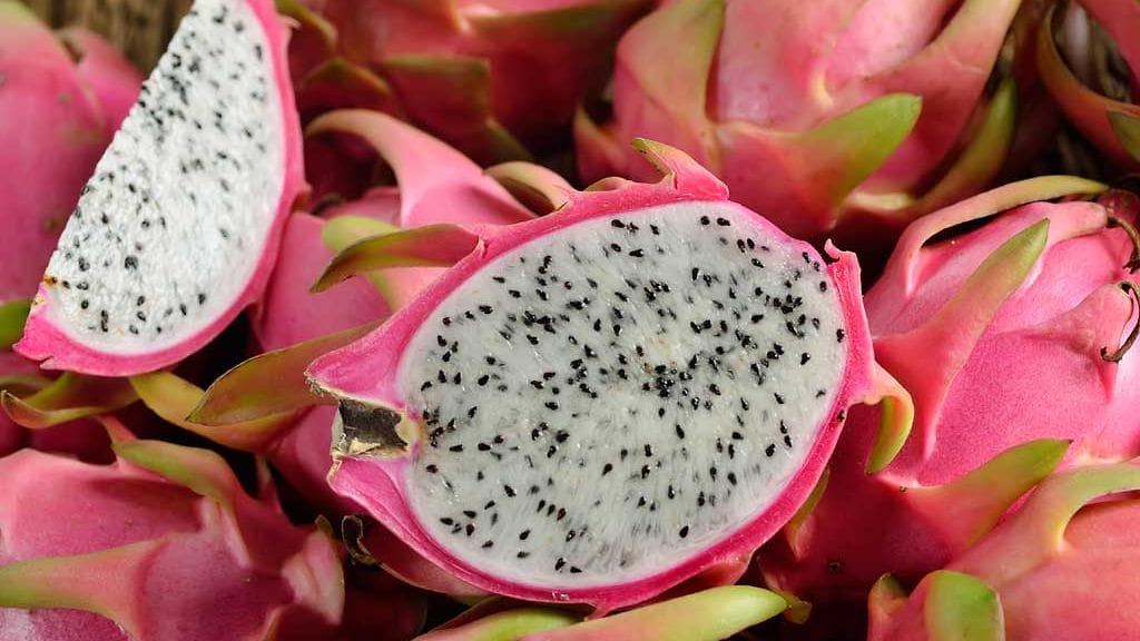 lohikäärmehedelmä