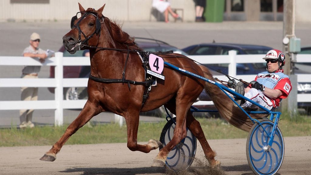 Pahasta loukkaantumisesta kärsinyt A.T. Visku on jälleen lajin huipulla.