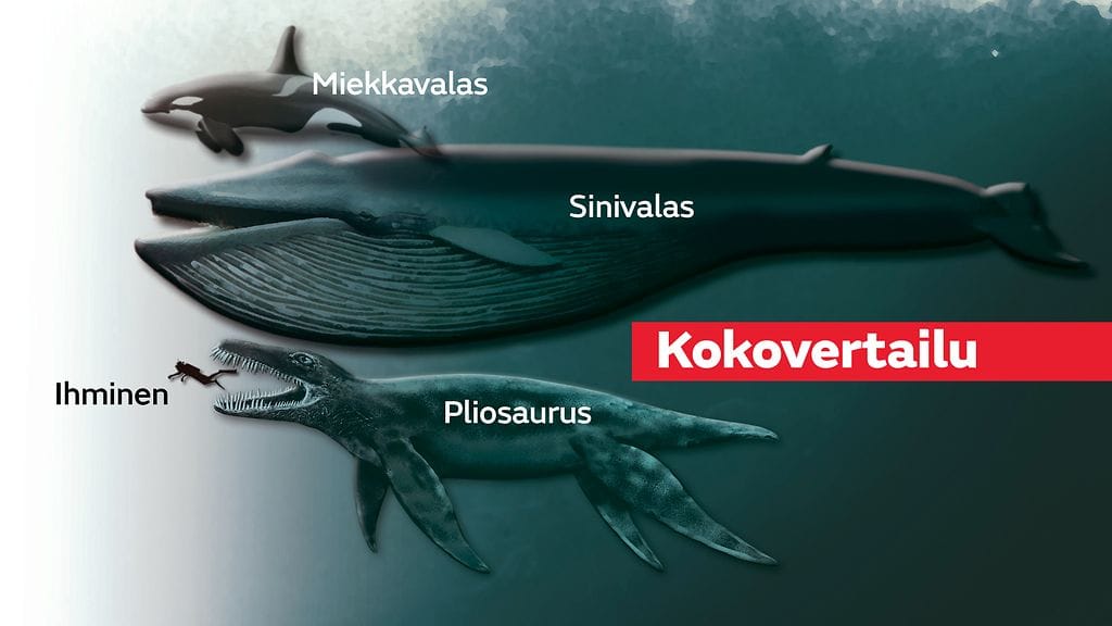 Liskojen_planeetta_kokovertailu